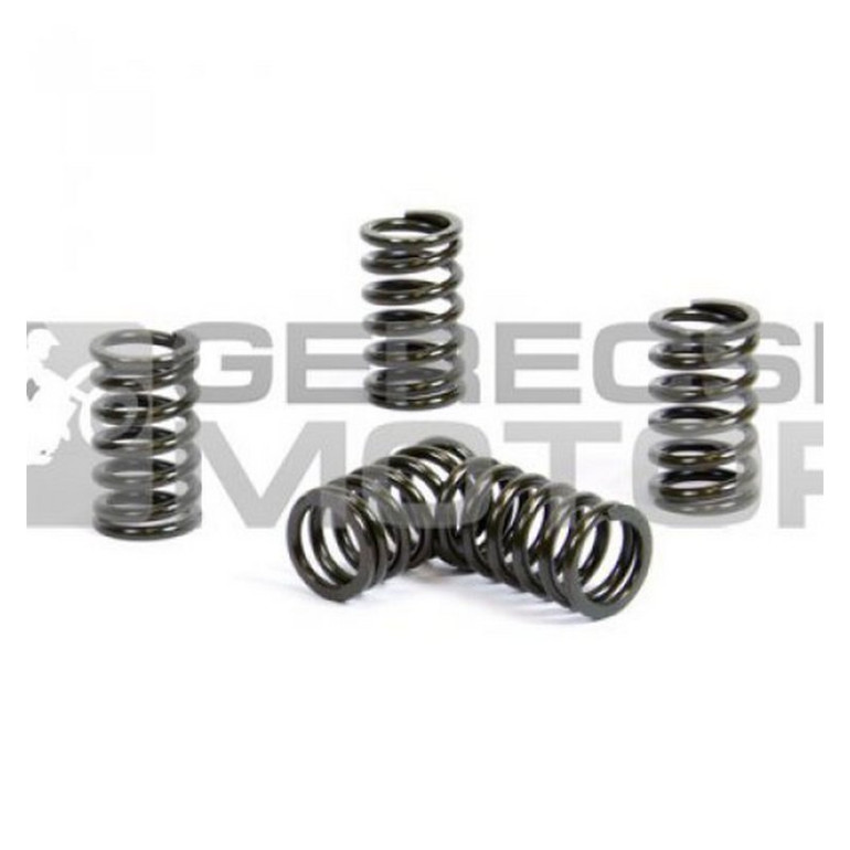 Kuplung rugó szett PROX