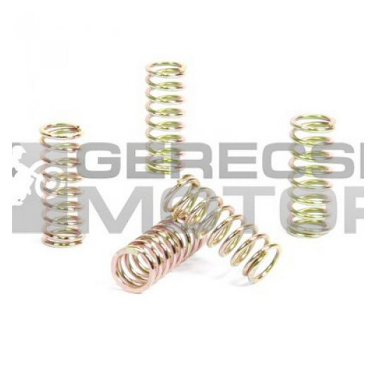 Kuplung rugó szett PROX