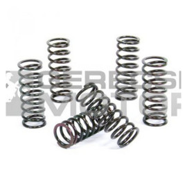 Kuplung rugó szett PROX