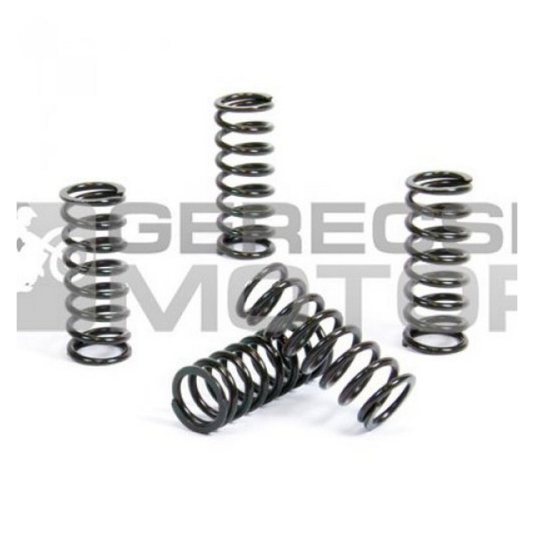 Kuplung rugó szett PROX