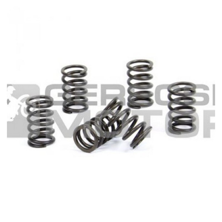 Kuplung rugó szett PROX