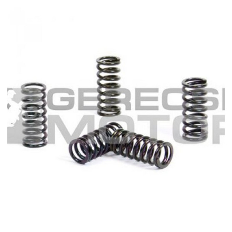 Kuplung rugó szett PROX