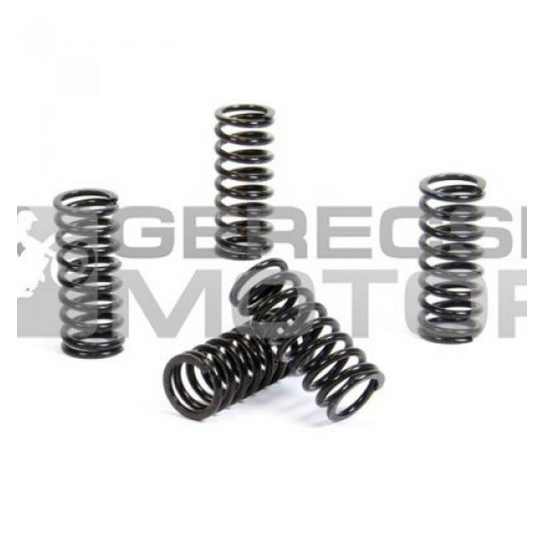 Kuplung rugó szett PROX