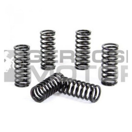 Kuplung rugó szett PROX