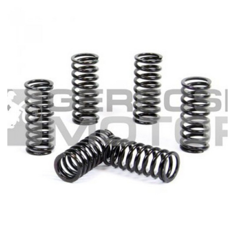 Kuplung rugó szett PROX