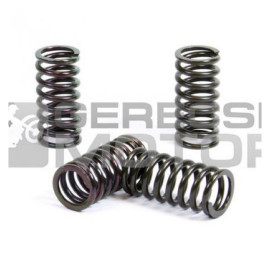 Kuplung rugó szett PROX