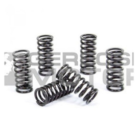 Kuplung rugó szett PROX