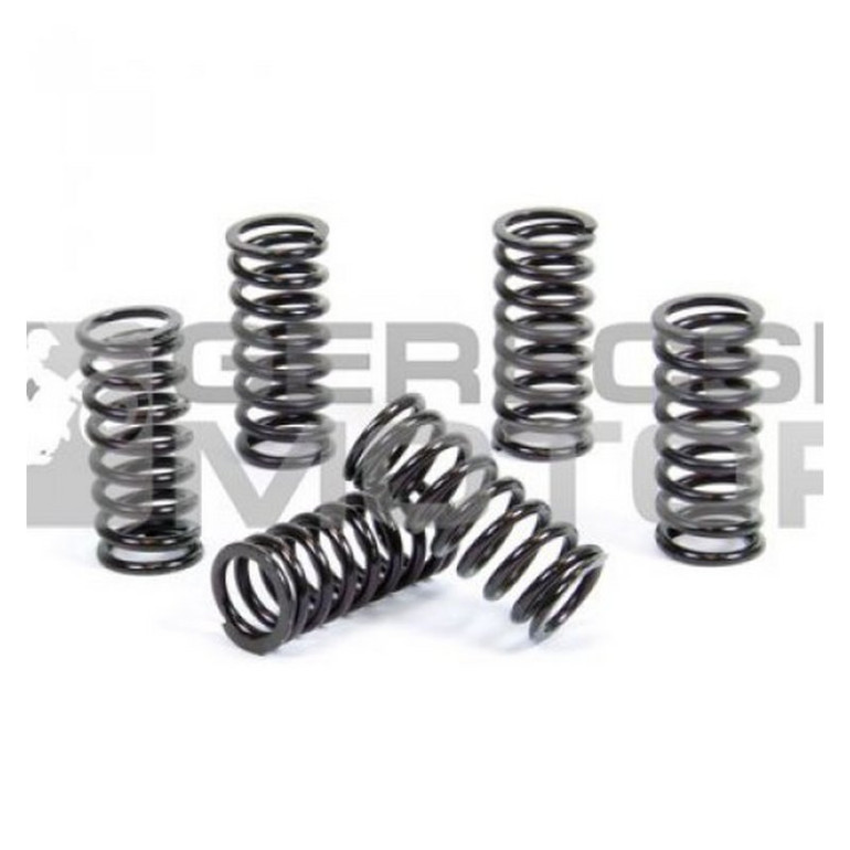 Kuplung rugó szett PROX