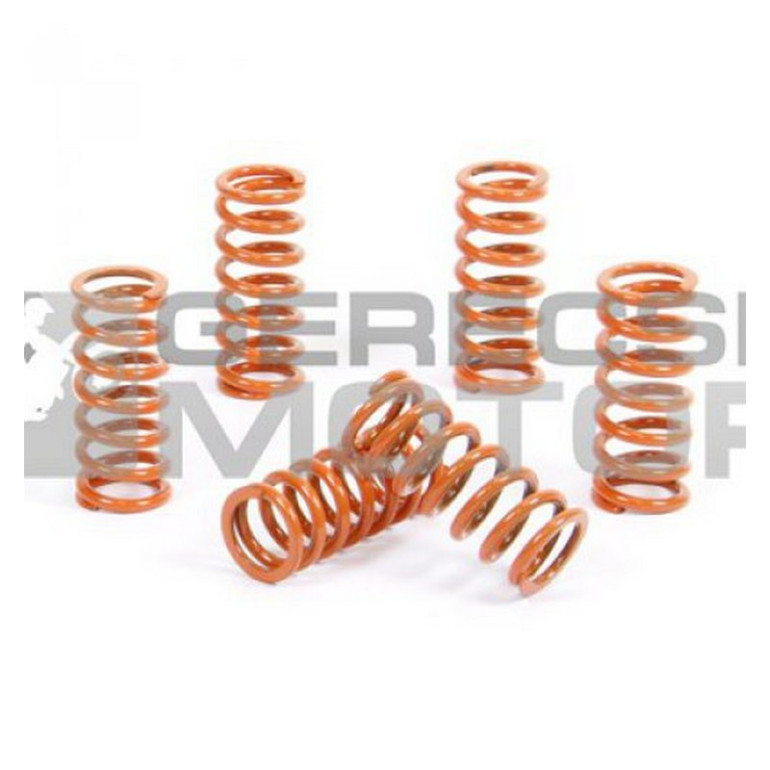 Kuplung rugó szett PROX