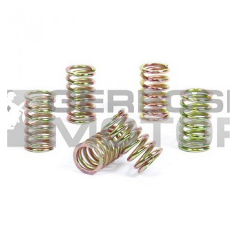 Kuplung rugó szett PROX