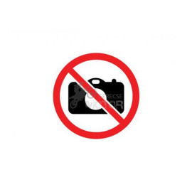 Gyújtásvezérlő elektronika ELCD3101