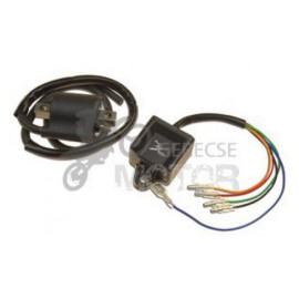 Gyújtásvezérlő elektronika ELCD5005