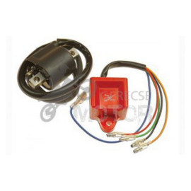 Gyújtásvezérlő elektronika ELCD5004