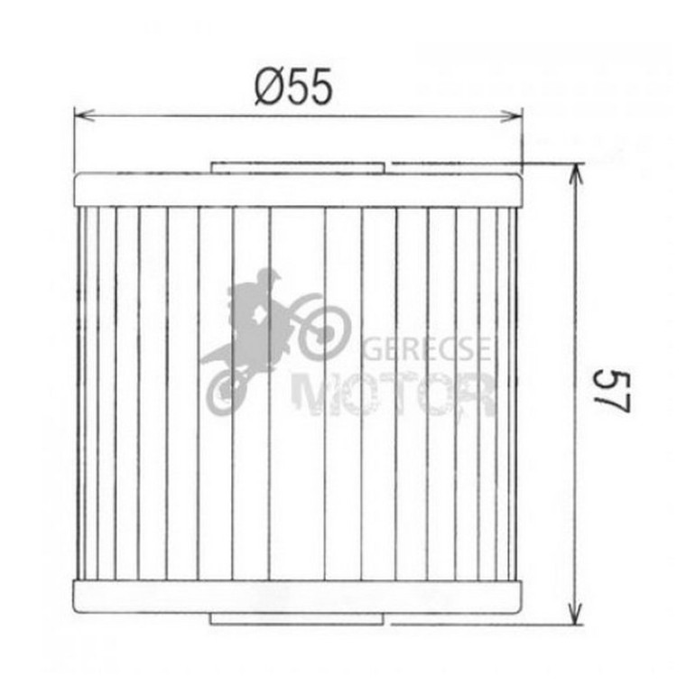 Olajszűrő HIFLOFILTRO HF123