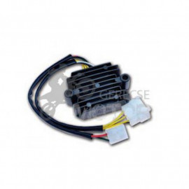 Feszültségszabályozó ELRR21