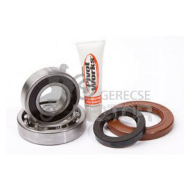 Hátsó kerék felújító szett PIVOT WORKS