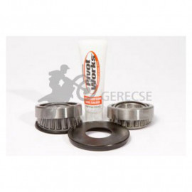 Kormánynyak csapágy készlet PIVOT WORKS