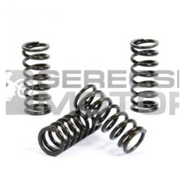 Kuplung rugó szett PROX