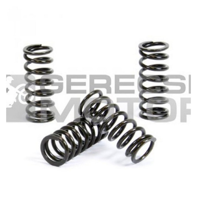 Kuplung rugó szett PROX