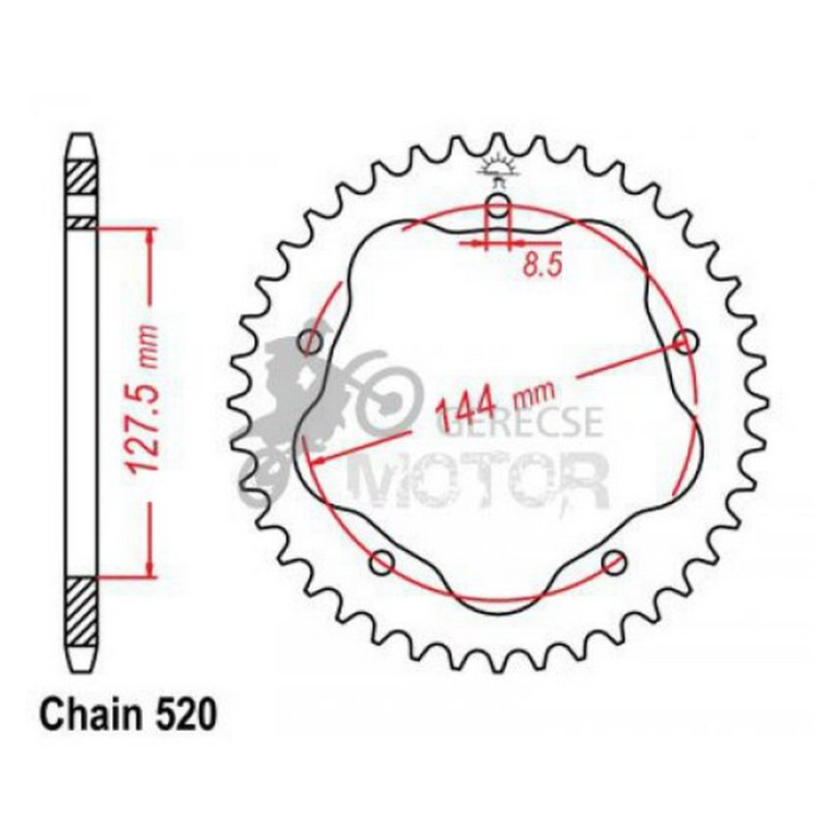 Hátsó lánckerék adapterrel JTR751