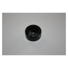 Vízpumpa Tömszelence