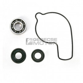 Vízpumpa felújító készlet HOT RODS