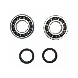 Főtengely csapágy és szimering szett PROX