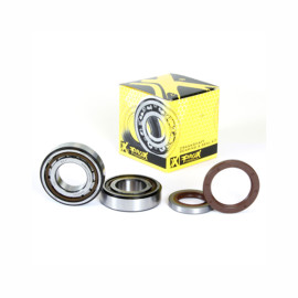 Főtengely csapágy és szimering szett PROX