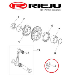 Főtengely sonka betét MR 2021-től