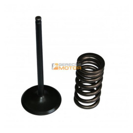 Kipufogó szelep és rugó KIT-4MX521E