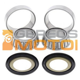 Kormánynyak csapágy szett 221021