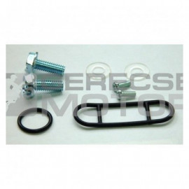 Benzincsap felújító készlet TOURMAX