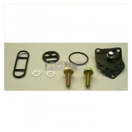 Benzincsap felújító készlet TOURMAX