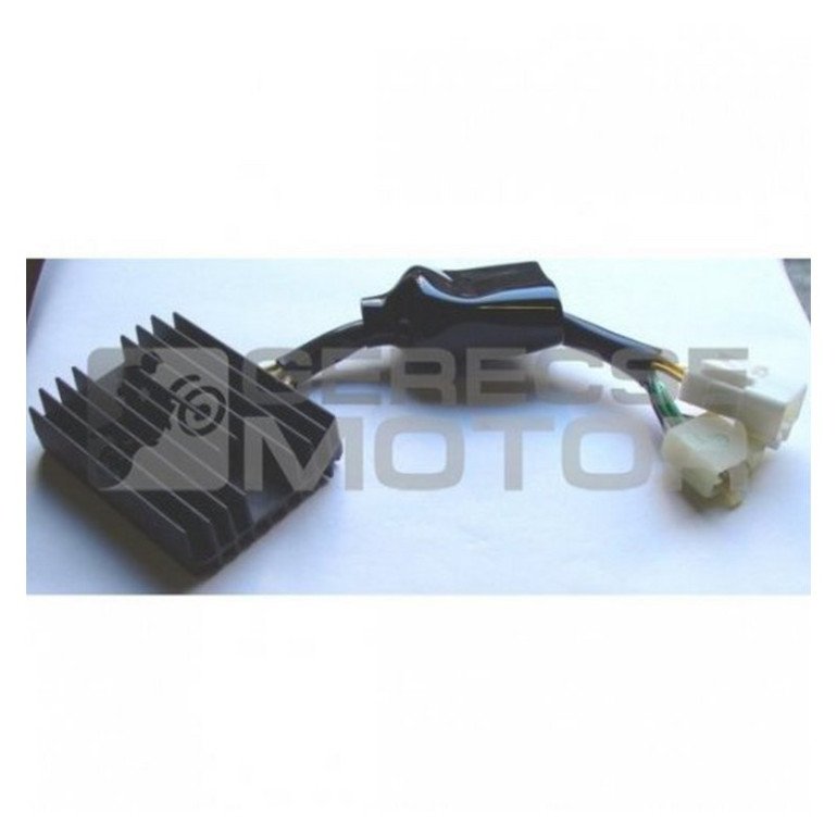 Feszültség szabályzó TOURMAX