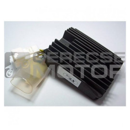 Feszültség szabályzó TOURMAX