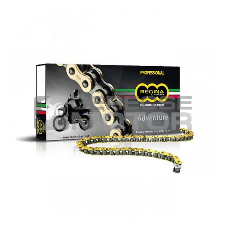 Lánc 520 ZRE arany REGINA