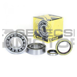 Főtengely csapágy és szimering szett PROX 23.CBS63004