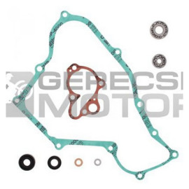 Vízpumpa felújító szett PROX