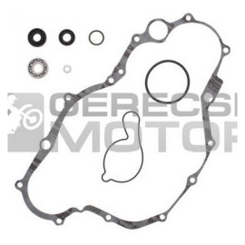 Vízpumpa felújító szett PROX