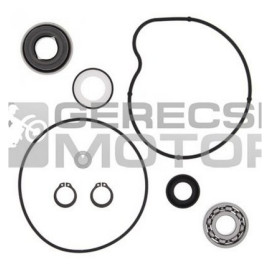 Vízpumpa felújító szett PROX