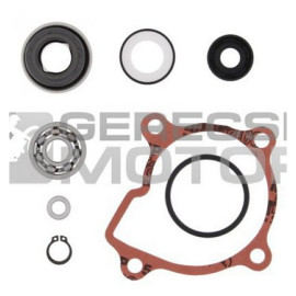 Vízpumpa felújító szett PROX