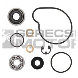 Vízpumpa felújító szett PROX