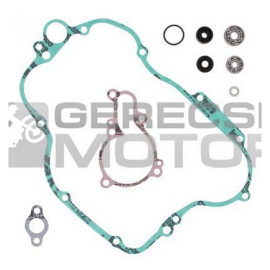 Vízpumpa felújító szett PROX