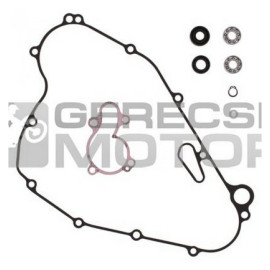 Vízpumpa felújító szett PROX