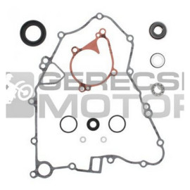 Vízpumpa felújító szett PROX