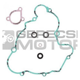 Vízpumpa felújító szett PROX