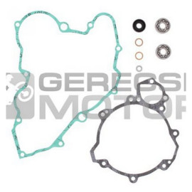 Vízpumpa felújító szett PROX