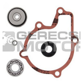 Vízpumpa felújító szett PROX