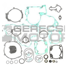 Komplett tömítés szett PROX