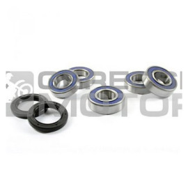 Hátsó kerékagycsapágy szett PROX